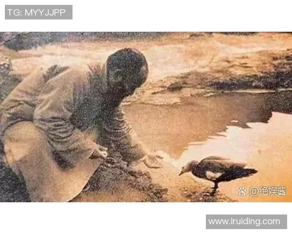 在战火纷飞的岁月中崛起的足球传奇与他们的荣耀之路